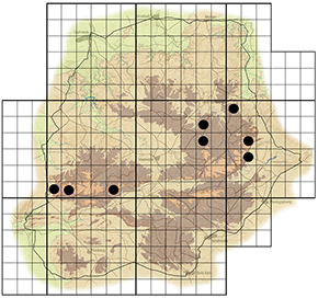 Tarchonanthus trilobus Waterberg distribution
